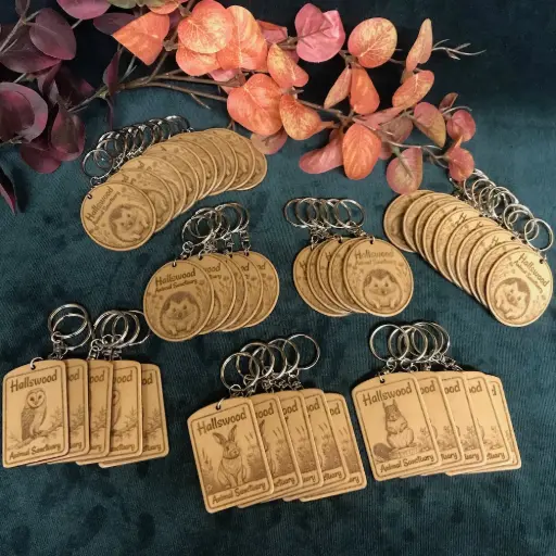 Custom design merchandise keyrings made of wood and laser engraved with images of headghogs, rabbits, owls. Created for Hallwood Animal Sanctuary in Norwich