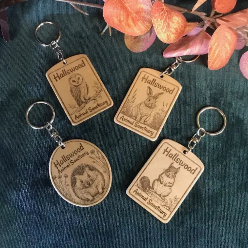 Custom design wooden keyrings for Hallswood Animal Sanctuary, showing images of rabbits, headgehogs, owls, squirrels and rabbits.