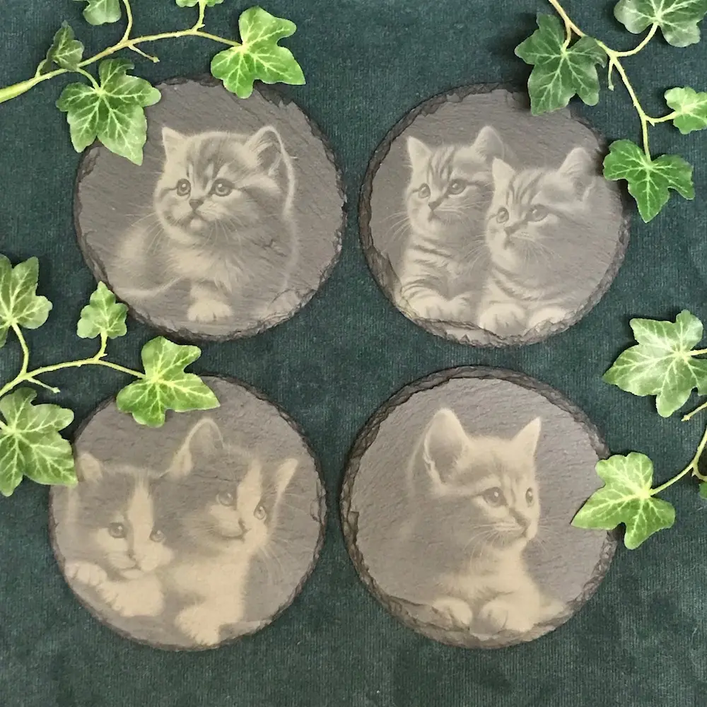 Kittens / Cat - Round Slate Coasters