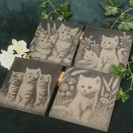 Kittens / Cat - Square Slate Coasters