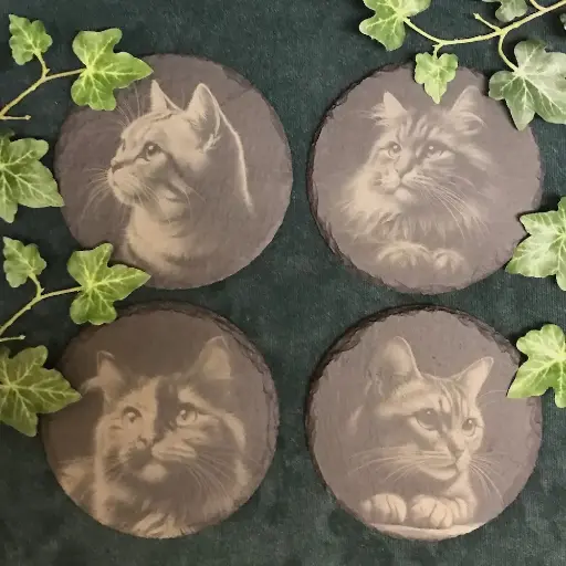 Dreamy Cats - Round Slate Coasters